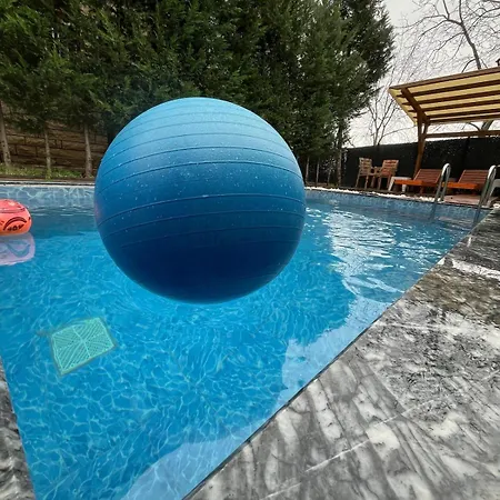 Mansion With Private Pool In Lejlighed *