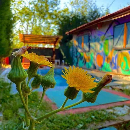 Mansion With Private Pool In Apartment