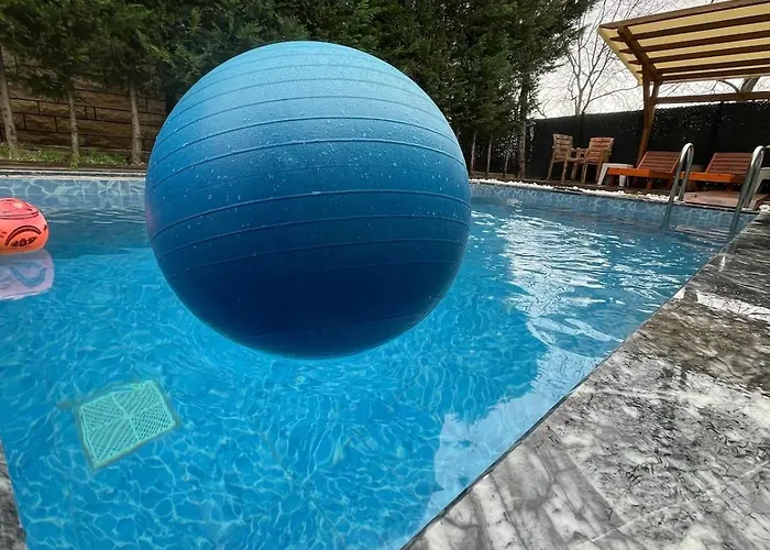 Mansion With Private Pool In Apartment *