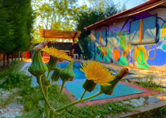 Mansion With Private Pool In Apartment