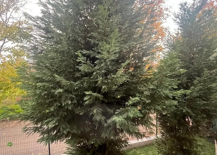 Mansion With Private Pool In