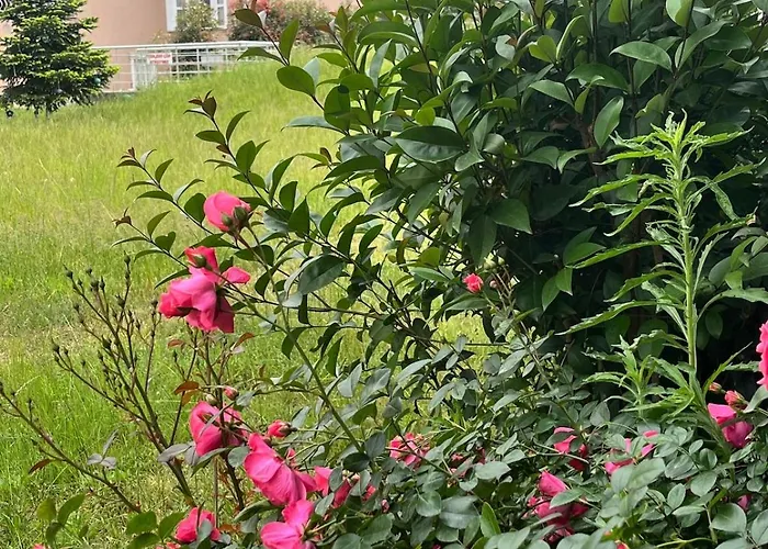 Apartment Mansion With Private Pool In